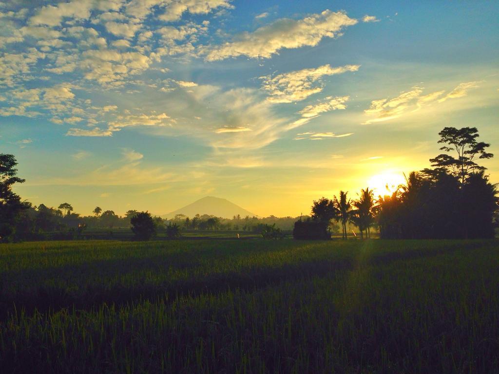 Temuku Villas Ubud - Chse Certified Extérieur photo